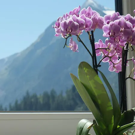 公寓 Near Lift & Glacier *