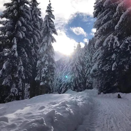 Near Lift & Glacier 公寓 *