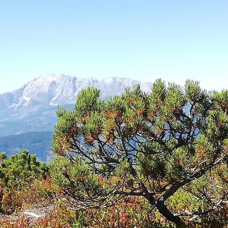 アパート Near Lift & Glacier *