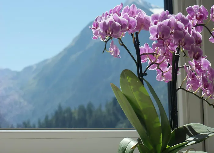 Lejlighed Near Lift & Glacier *