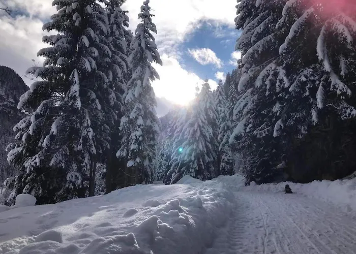 Near Lift & Glacier Lejlighed *