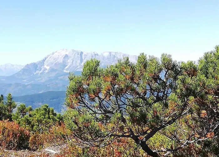 Lejlighed Near Lift & Glacier *